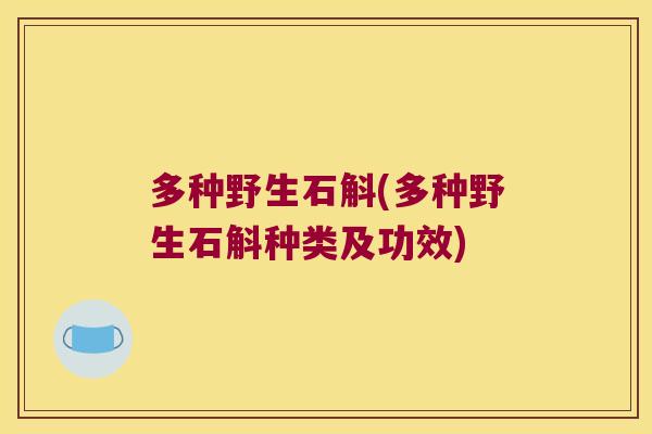 多种野生石斛(多种野生石斛种类及功效)