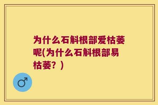 为什么石斛根部爱枯萎呢(为什么石斛根部易枯萎？)