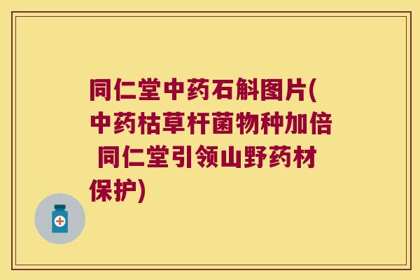 同仁堂中药石斛图片(中药枯草杆菌物种加倍 同仁堂引领山野药材保护)
