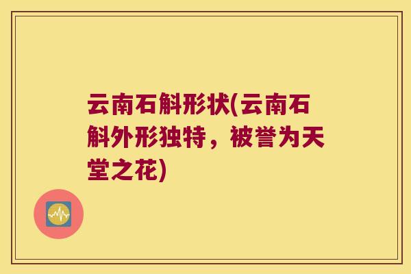 云南石斛形状(云南石斛外形独特，被誉为天堂之花)