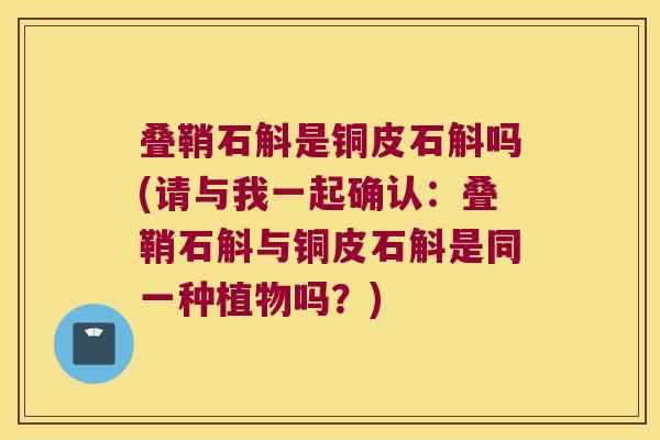 叠鞘石斛是铜皮石斛吗(请与我一起确认：叠鞘石斛与铜皮石斛是同一种植物吗？)