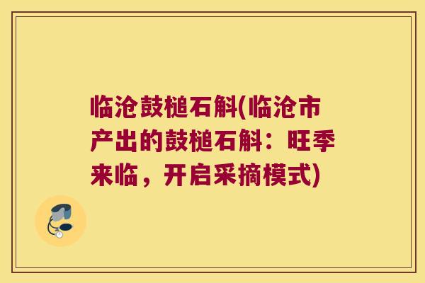临沧鼓槌石斛(临沧市产出的鼓槌石斛：旺季来临，开启采摘模式)