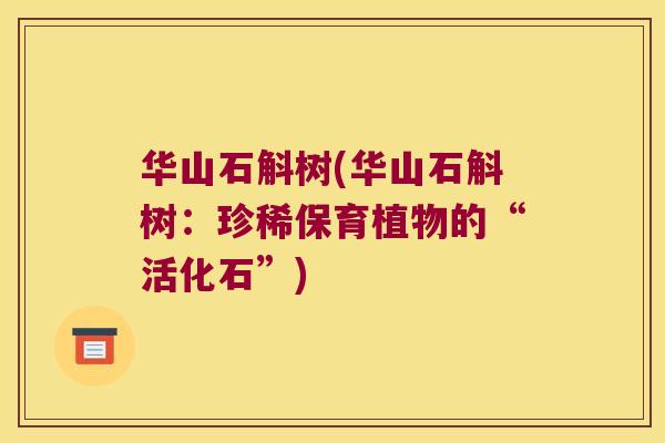 华山石斛树(华山石斛树:珍稀保育植物的“活化石”) 华山石斛树(华山石斛树:珍稀保育植物的“活化石”)