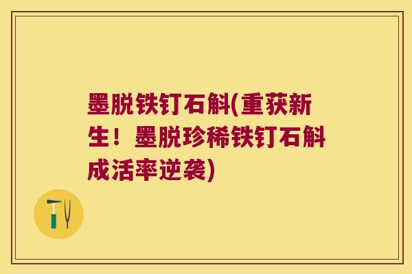 墨脱铁钉石斛(重获新生!墨脱珍稀铁钉石斛成活率逆袭) 墨脱铁钉石斛(重获新生!墨脱珍稀铁钉石斛成活率逆袭)