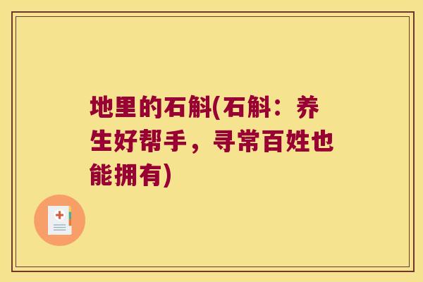 地里的石斛(石斛：养生好帮手，寻常百姓也能拥有)