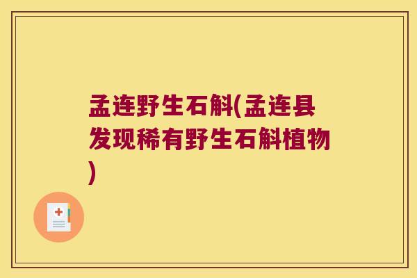 孟连野生石斛(孟连县发现稀有野生石斛植物)