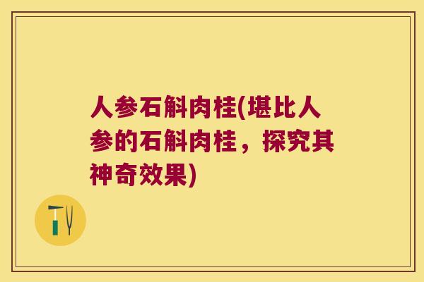 人参石斛肉桂(堪比人参的石斛肉桂，探究其神奇效果)