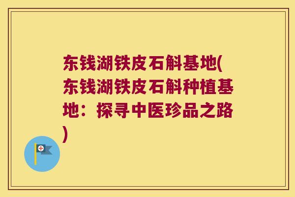 东钱湖铁皮石斛基地(东钱湖铁皮石斛种植基地：探寻中医珍品之路)