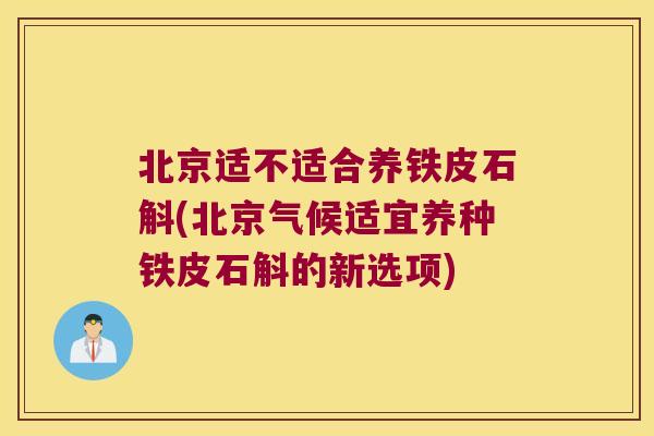 北京适不适合养铁皮石斛(北京气候适宜养种铁皮石斛的新选项)