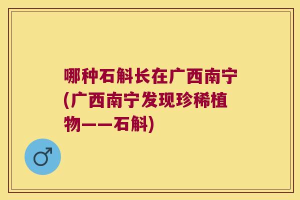 哪种石斛长在广西南宁(广西南宁发现珍稀植物——石斛)