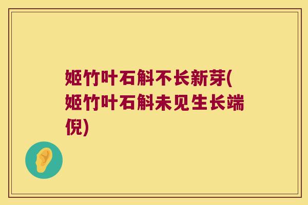 姬竹叶石斛不长新芽(姬竹叶石斛未见生长端倪)