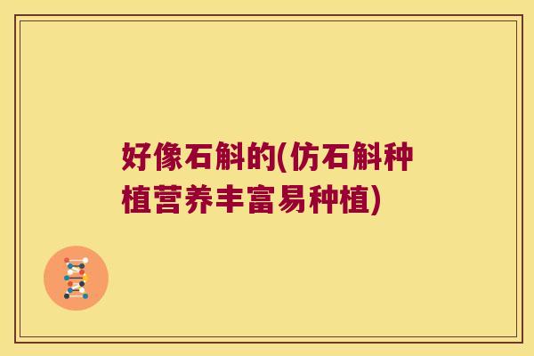 好像石斛的(仿石斛种植营养丰富易种植)