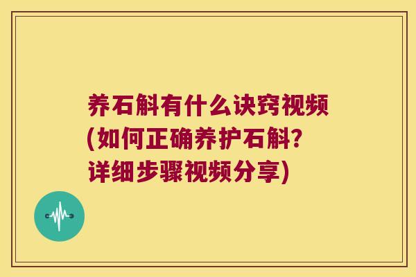 养石斛有什么诀窍视频(如何正确养护石斛？详细步骤视频分享)