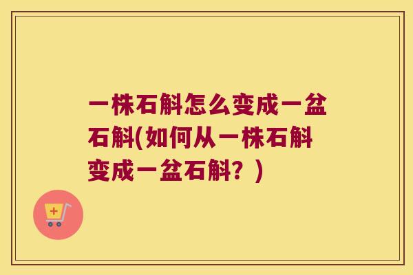 一株石斛怎么变成一盆石斛(如何从一株石斛变成一盆石斛？)