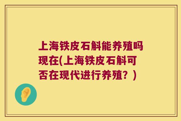 上海铁皮石斛能养殖吗现在(上海铁皮石斛可否在现代进行养殖？)