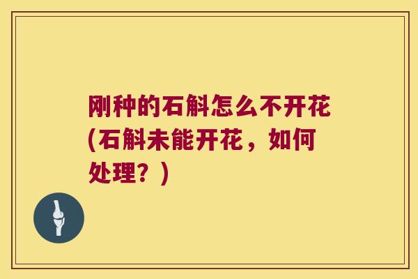 刚种的石斛怎么不开花(石斛未能开花，如何处理？)