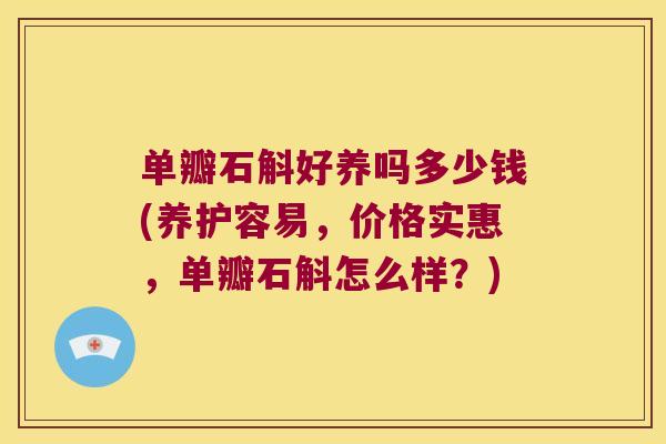 单瓣石斛好养吗多少钱(养护容易，价格实惠，单瓣石斛怎么样？)
