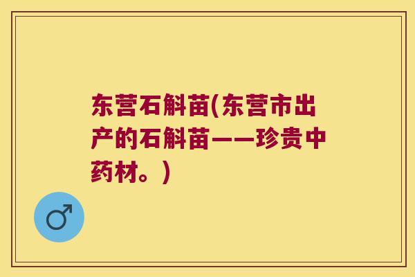 东营石斛苗(东营市出产的石斛苗——珍贵中药材。)