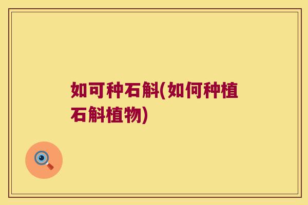 如可种石斛(如何种植石斛植物)