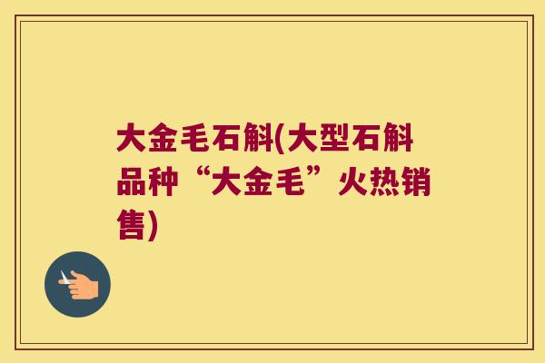 大金毛石斛(大型石斛品种“大金毛”火热销售)