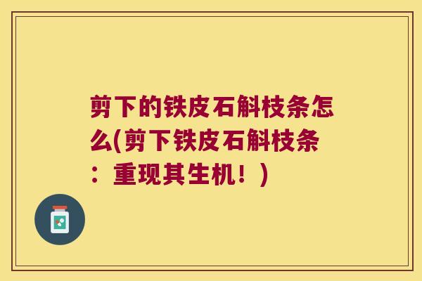 剪下的铁皮石斛枝条怎么(剪下铁皮石斛枝条：重现其生机！)