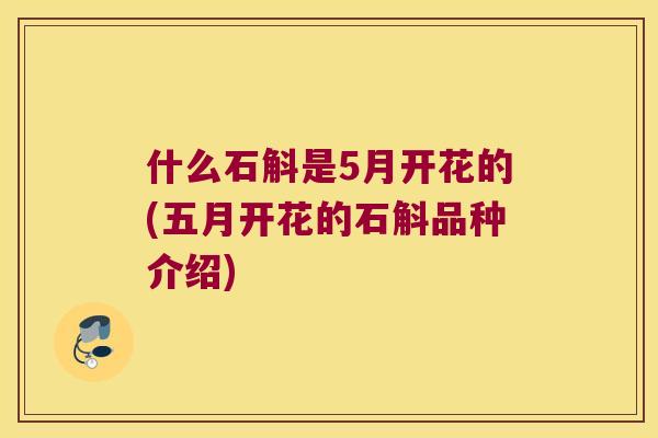 什么石斛是5月开花的(五月开花的石斛品种介绍)