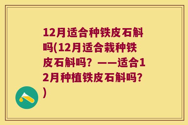 12月适合种铁皮石斛吗(12月适合栽种铁皮石斛吗？——适合12月种植铁皮石斛吗？)