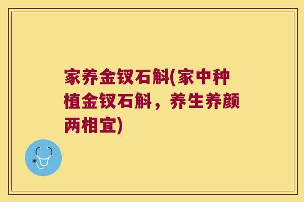 家养金钗石斛(家中种植金钗石斛，养生养颜两相宜)