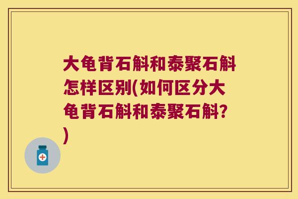 大龟背石斛和泰聚石斛怎样区别(如何区分大龟背石斛和泰聚石斛？)