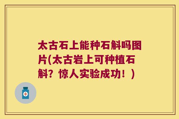 太古石上能种石斛吗图片(太古岩上可种植石斛？惊人实验成功！)
