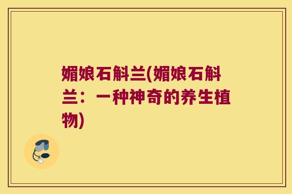 媚娘石斛兰(媚娘石斛兰：一种神奇的养生植物)