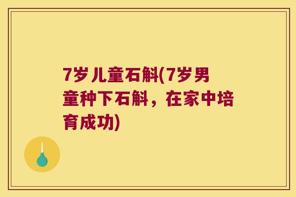 7岁儿童石斛(7岁男童种下石斛，在家中培育成功)