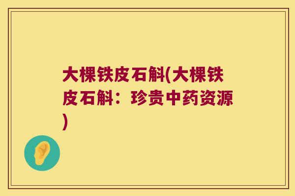 大棵铁皮石斛(大棵铁皮石斛：珍贵中药资源)