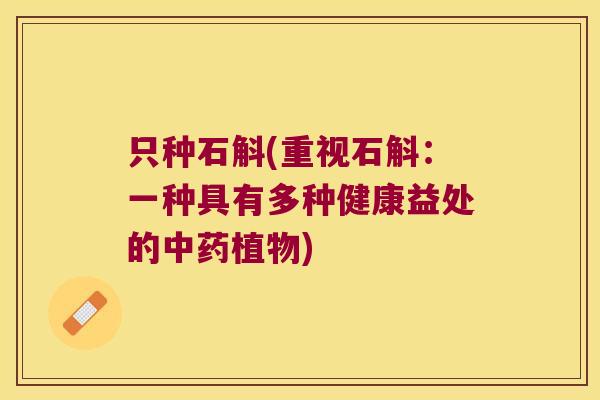 只种石斛(重视石斛：一种具有多种健康益处的植物)