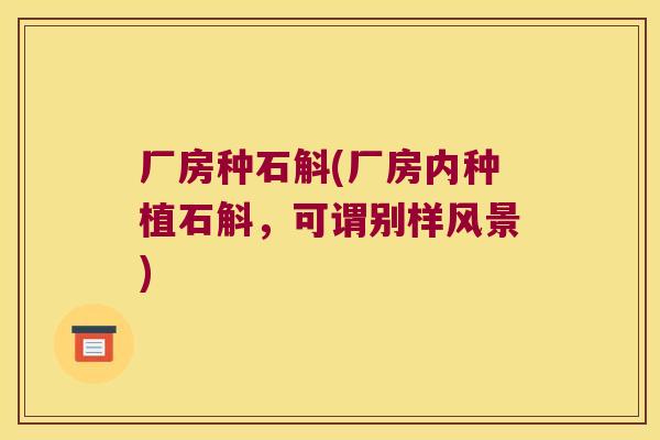 厂房种石斛(厂房内种植石斛，可谓别样风景)