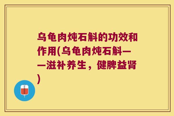 乌龟肉炖石斛的功效和作用(乌龟肉炖石斛——滋补养生，健脾益肾)