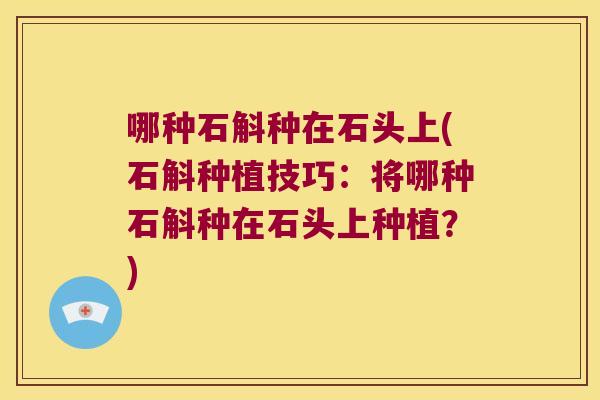 哪种石斛种在石头上(石斛种植技巧：将哪种石斛种在石头上种植？)