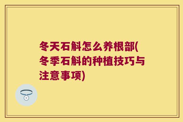 冬天石斛怎么养根部(冬季石斛的种植技巧与注意事项)