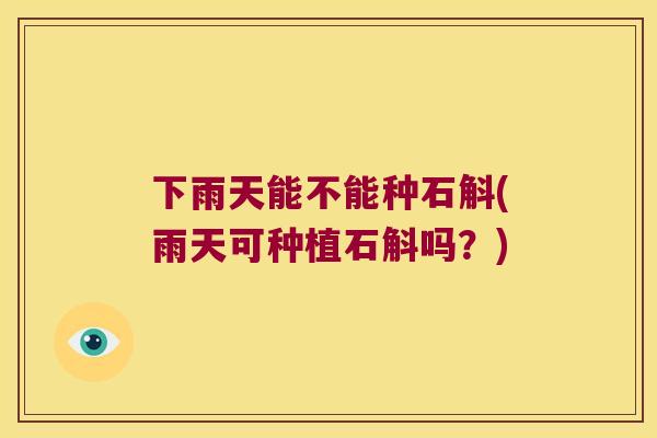 下雨天能不能种石斛(雨天可种植石斛吗？)