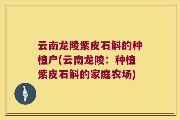 云南龙陵紫皮石斛的种植户(云南龙陵：种植紫皮石斛的家庭农场)