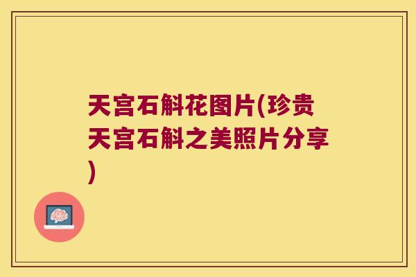 天宫石斛花图片(珍贵天宫石斛之美照片分享)
