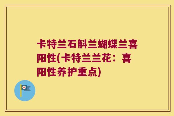 卡特兰石斛兰蝴蝶兰喜阳性(卡特兰兰花：喜阳性养护重点)