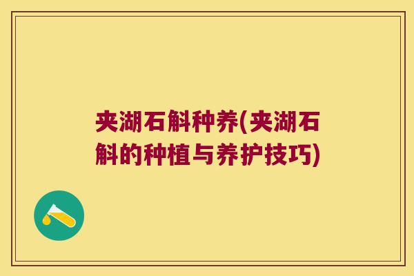 夹湖石斛种养(夹湖石斛的种植与养护技巧)