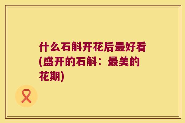 什么石斛开花后好看(盛开的石斛:美的花期) 什么石斛开花后好看(盛开的石斛:美的花期)