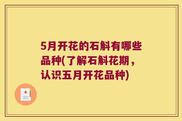 5月开花的石斛有哪些品种(了解石斛花期,认识五月开花品种) 5月开花的石斛有哪些品种(了解石斛花期,认识五月开花品种)
