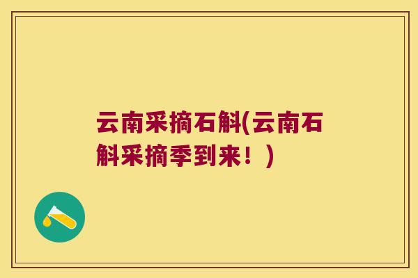 云南采摘石斛(云南石斛采摘季到来！)