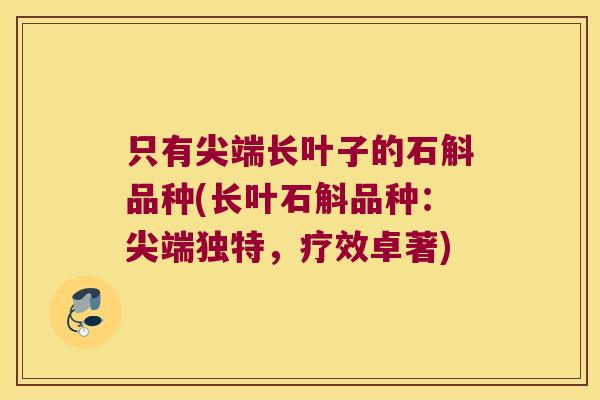 只有尖端长叶子的石斛品种(长叶石斛品种：尖端独特，疗效卓著)