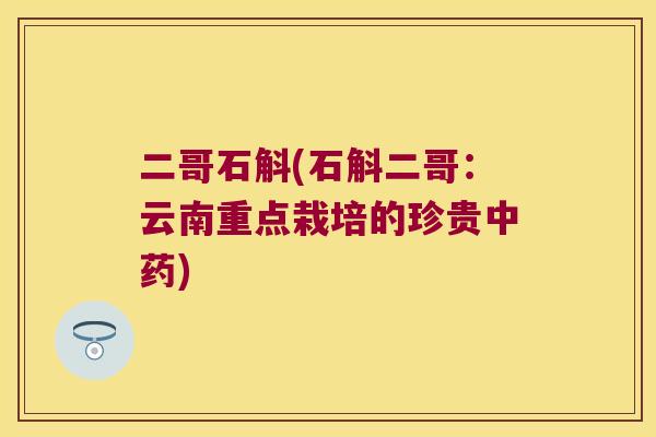 二哥石斛(石斛二哥：云南重点栽培的珍贵中药)