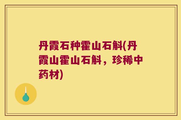 丹霞石种霍山石斛(丹霞山霍山石斛,珍稀材) 丹霞石种霍山石斛(丹霞山霍山石斛,珍稀材)