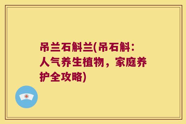 吊兰石斛兰(吊石斛：人气养生植物，家庭养护全攻略)